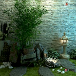  Decorative Garden Plant