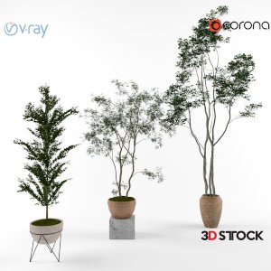 Potted Tree Set 360