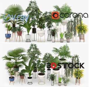 Potted Plant Set 019