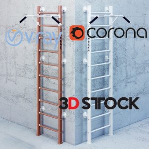 Home Sports Complex Kampfer Swedish stair