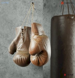 Boxing Gloves 3d max model