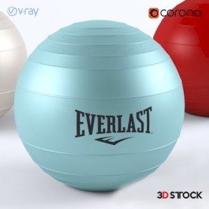 pilates ball/yoga/meditation/3d model