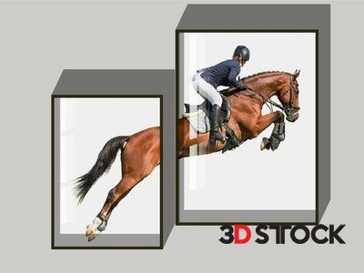 display bookshelf 3d max