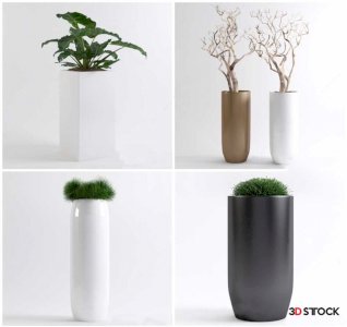 Plants Sketchup Model