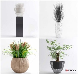 Planst Sketchup Modeling