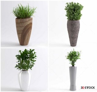 Plants Sketchup Modeling