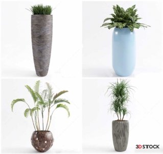 Plants Sketchup Modeling