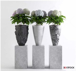 Plants Sketchup Modeling