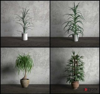 Plant Sketchup Modeling