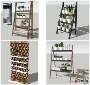 Plant Sketchup Modeling