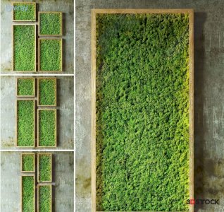 plant decor wall decor lighting white background plant design models render 3d model