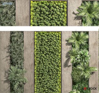  wall decor plants 3d model