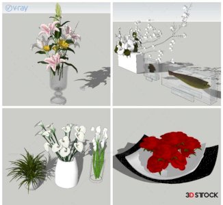 plant models indoor and balcony plants  modeling 
