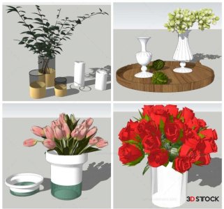 balcony plants houseplants accessory