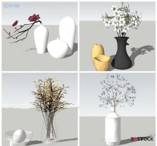 balcony plants houseplants accessory 