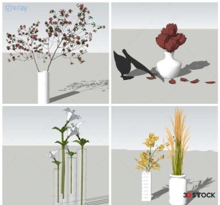 balcony plants houseplants accessory