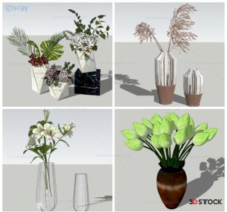 balcony plants houseplants accessory 