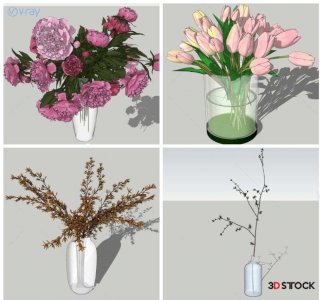 indoor and outdoor plant models 