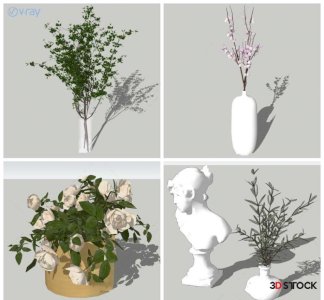 indoor and outdoor plant models 