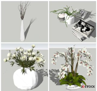 indoor and outdoor plants 