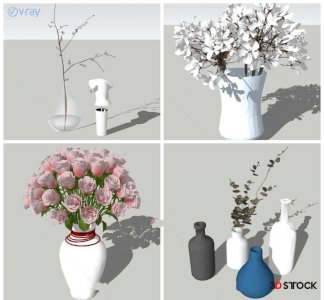 indoor and outdoor plants 