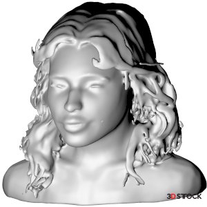 Serene Flow Bust