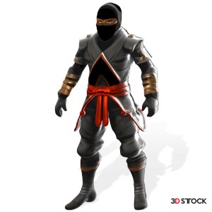 Stealth Master Ninja Character