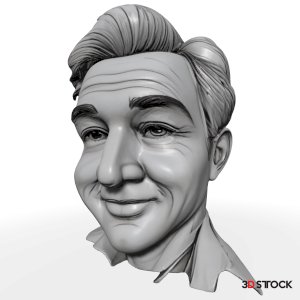 Classic Gentleman Bust