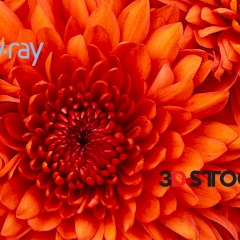 3dstock