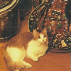 Aleksandr