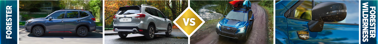 2024 Subaru Forester vs 2024 Subaru Forester Wilderness Exterior 2024 Subaru Forester vs 2024 Subaru Forester Wilderness Exterior