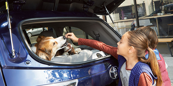 2016 Toyota Highlander Information