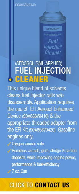 Fuel Injection Cleaner