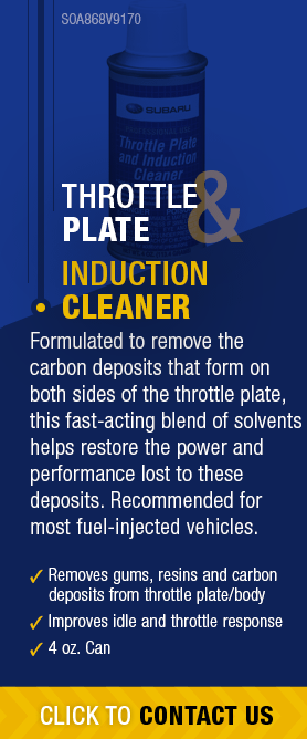 Throttle Plate & Induction Cleaner