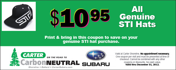 Volkswagen Blow Out Tire and Steel Wheel Package Seattle