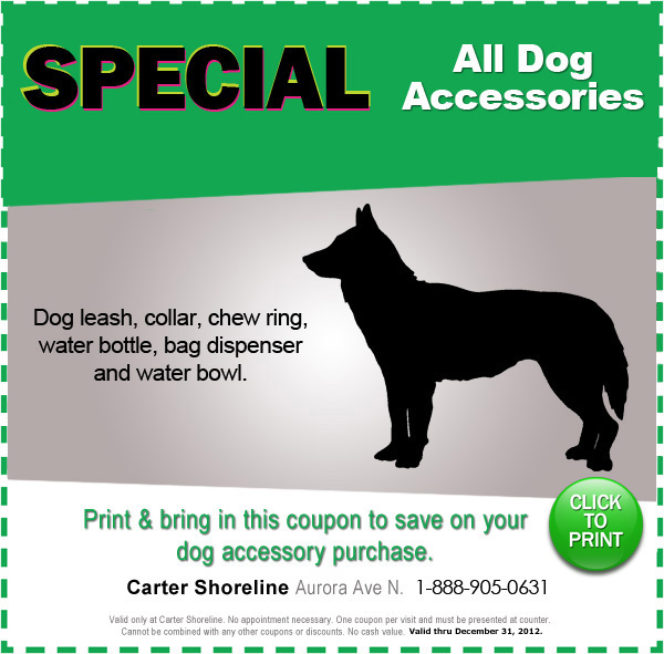 Subaru Dog Accessories Seattle