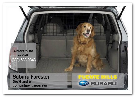 Medford, subaru, dog guard, compartment separator, forester, accessories, parts, specials