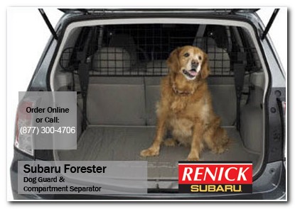 Los Angeles, subaru, dog guard, compartment separator, forester, accessories, parts, specials