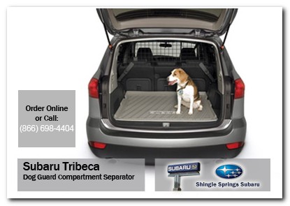 Sacramento, subaru, dog guard, compartment separator, tribeca, accessories, parts, specials