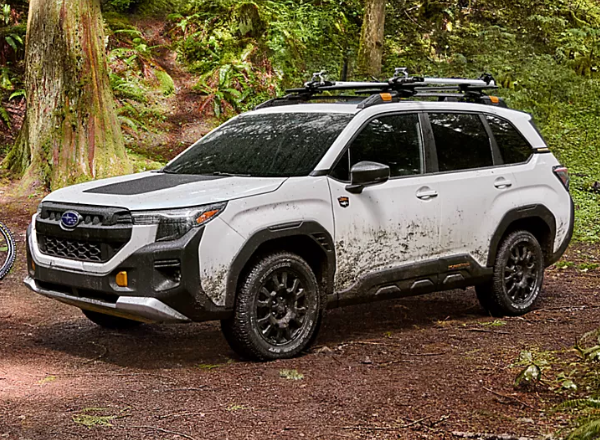 Subaru Forester Wilderness Model Comparisons