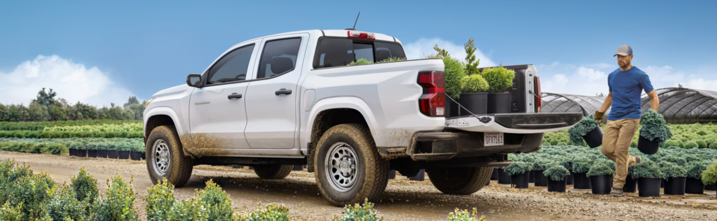 2026 Chevrolet Colorado Work Truck model information