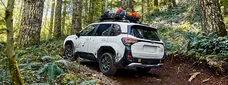 New 2026 Subaru Forester Wilderness Columbus, OH