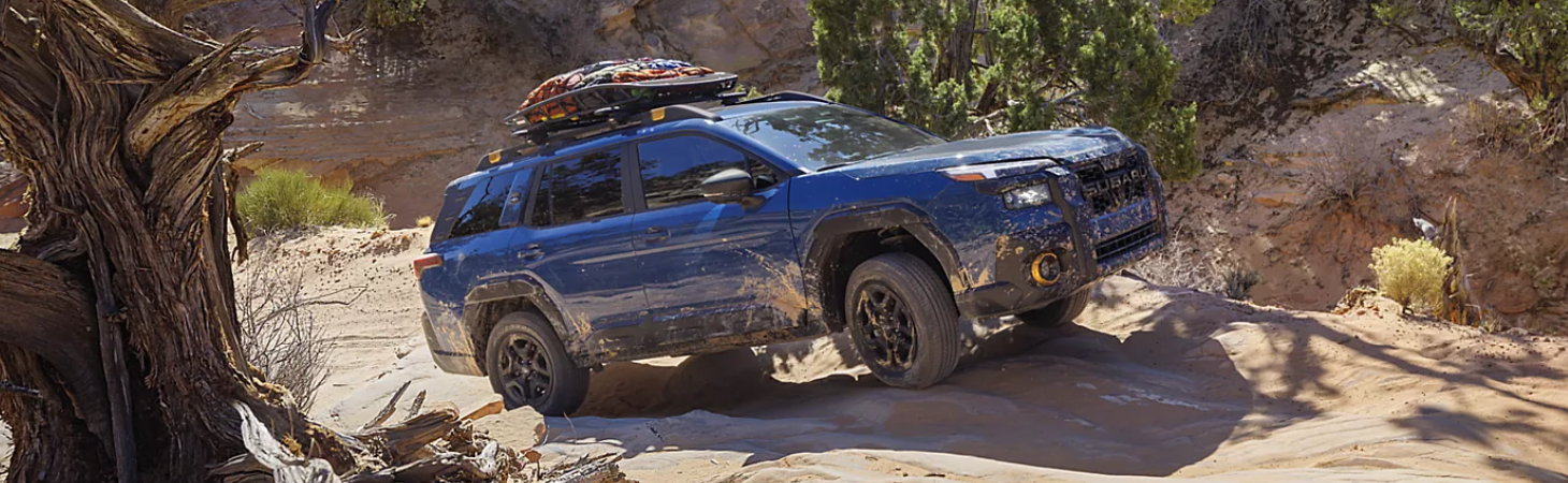 Specs and Features of the 2025 Subaru Outback model information
