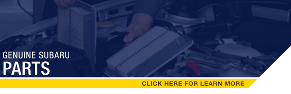 Click to learn more about genuine Subaru chemicals.