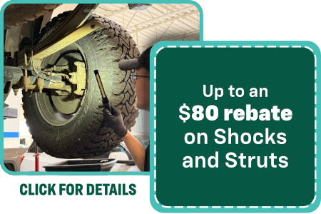 SHOCK/STRUT&nbsp;clickable image