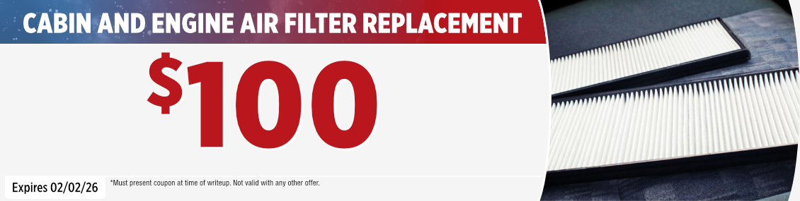 Cabin and Engine Air Filter Replacement