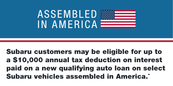 Assembled in America banner image