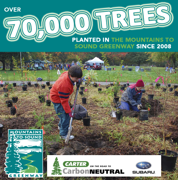On the Road to Carbon Neutral
