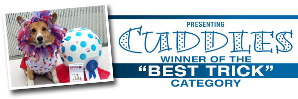 Kearny Mesa Subaru Dog Show Best Trick Winner!