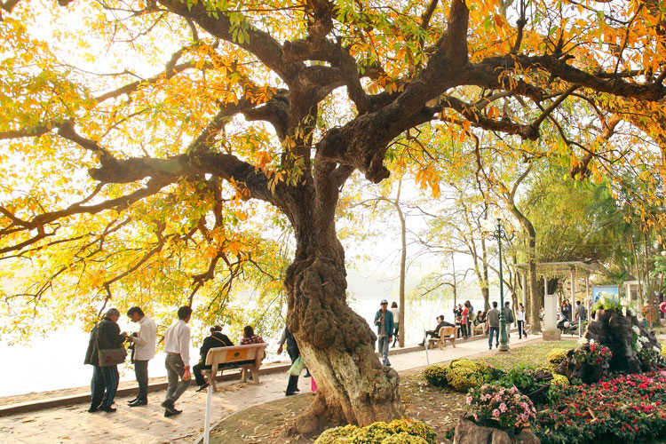 Hanoi autumn